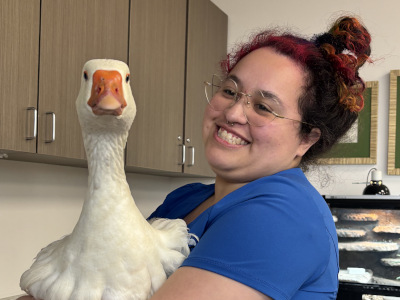 Avian Services