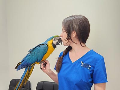 Birds Avian Services