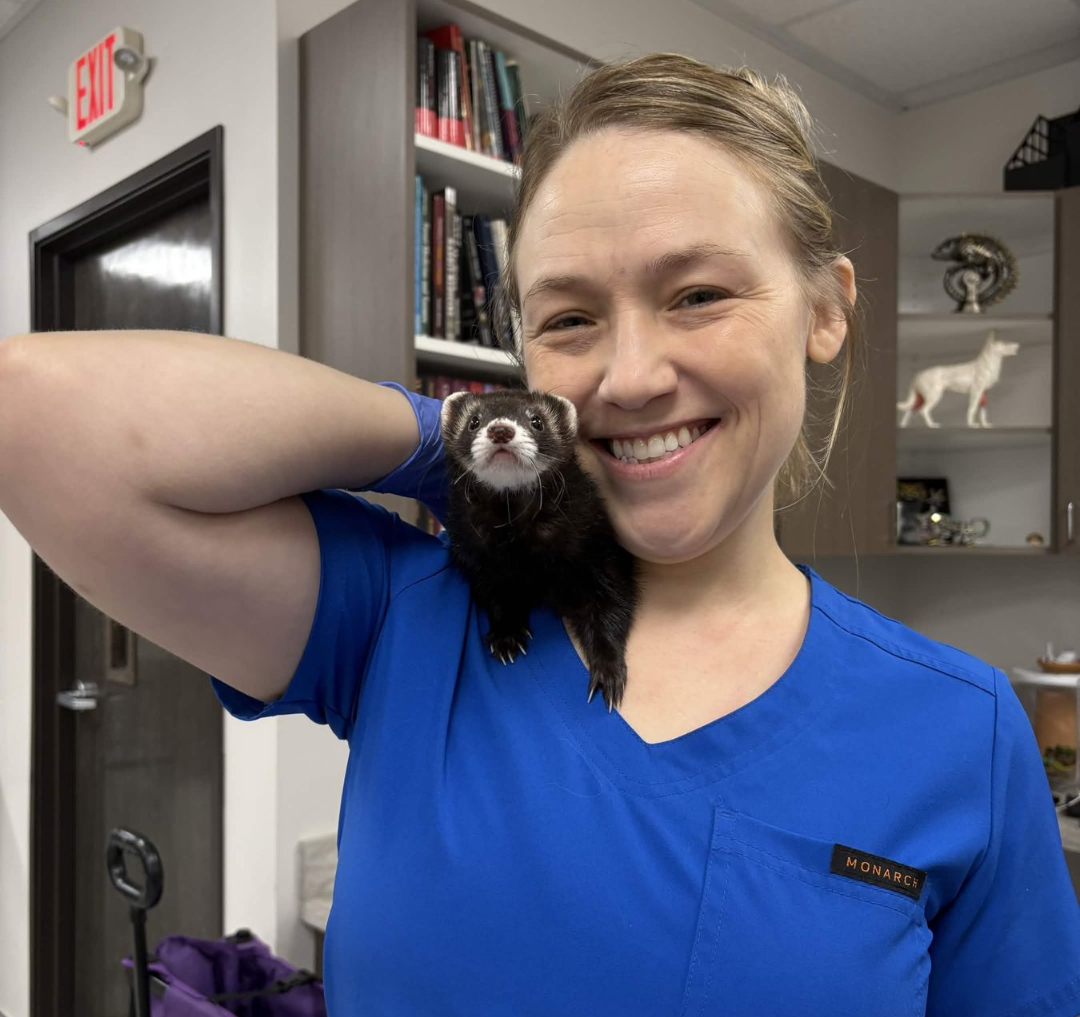 Small Exotic Mammal Services