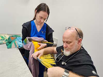 Wellness & Preventive Care Services