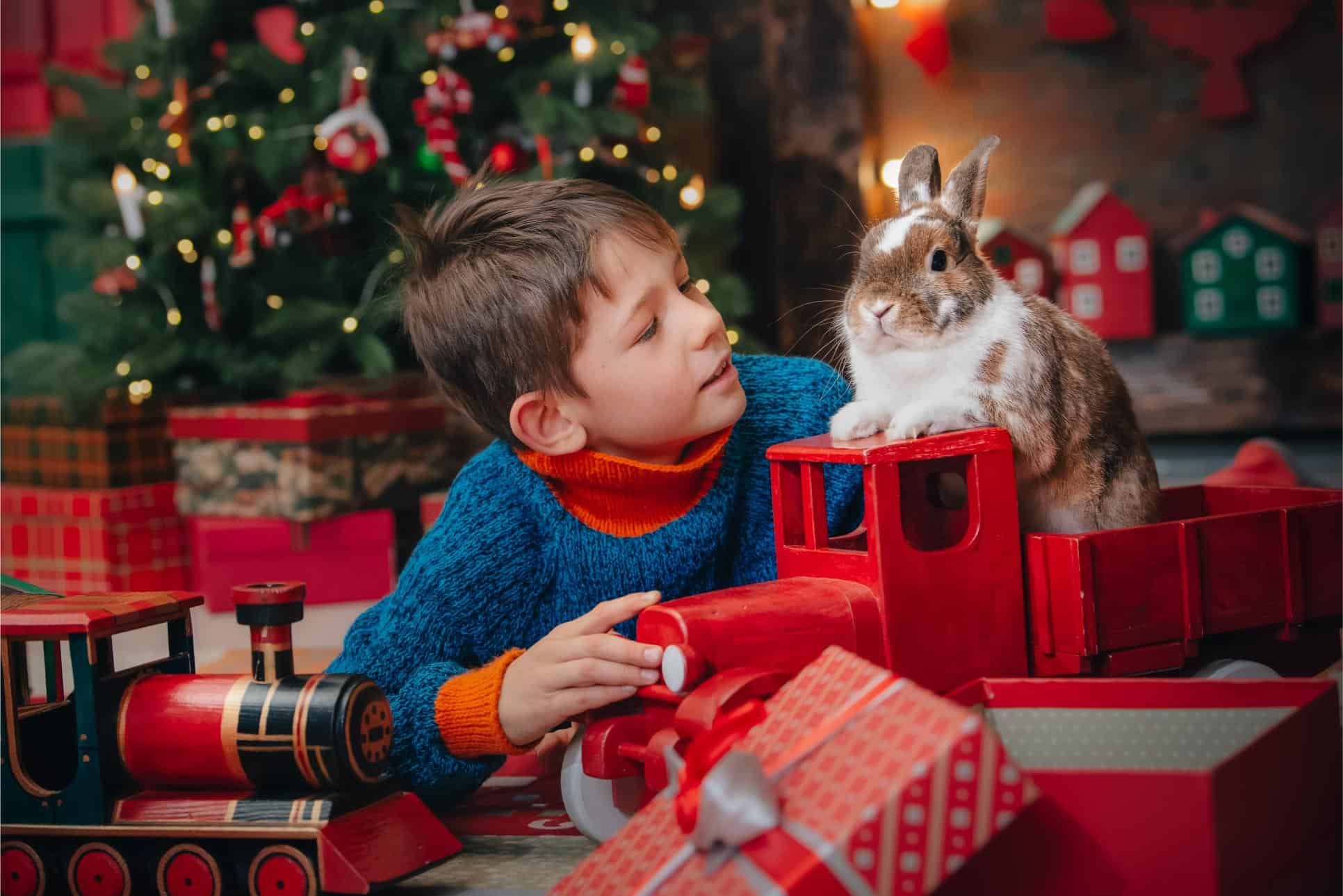 A boy with his rabbit pet.