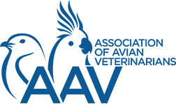 AAV Logo