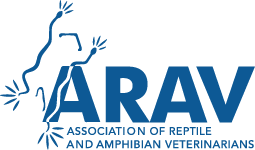 ARAV Logo