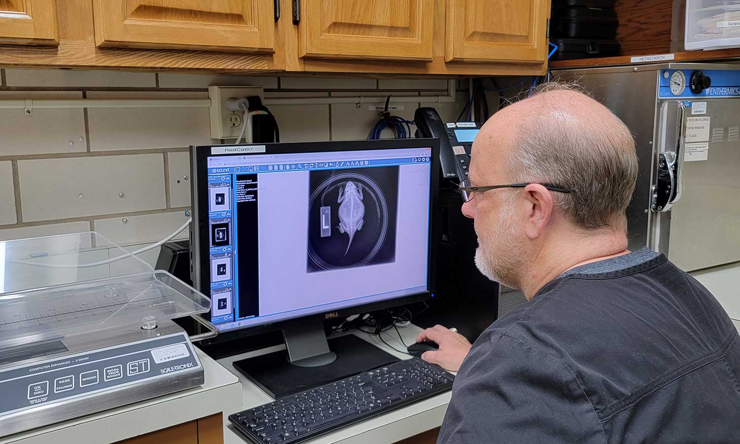 Working on a diagnosis
