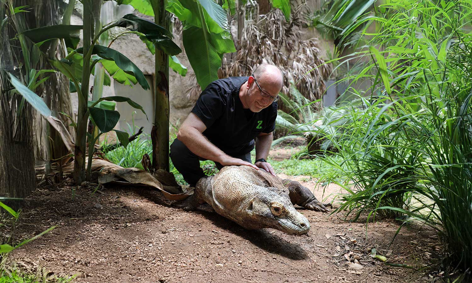 The doctor with a komodo dragon